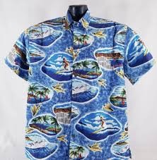 Hawaiian shirt symbol of vibrancy and leisure close-up print